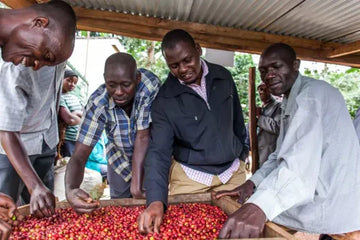 Uganda Kapchorwa