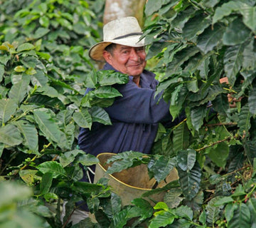 Colombia La Joyería