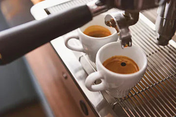 Early Summer Blend