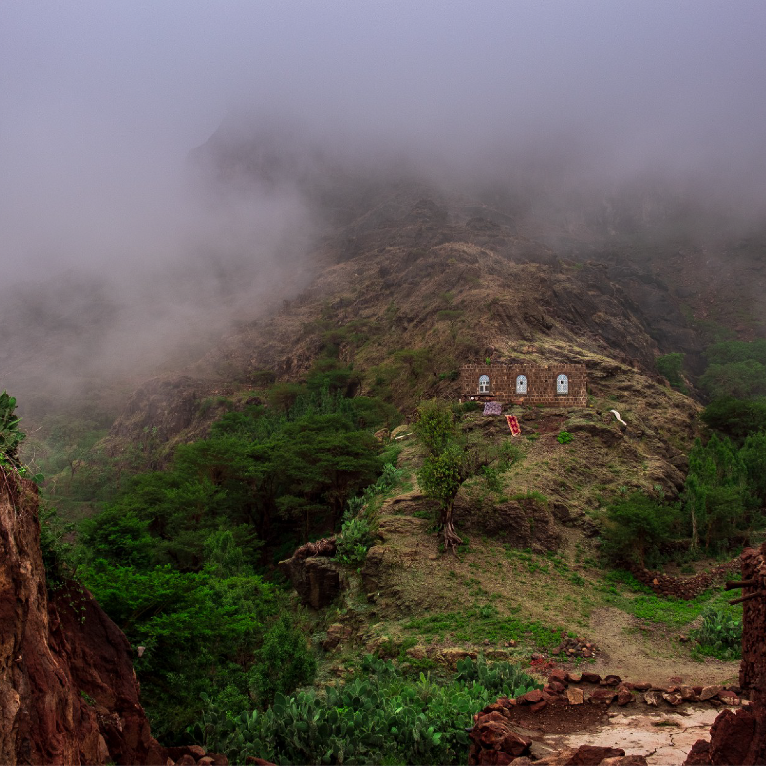 Al Mahjar Peaberry Competition 90+