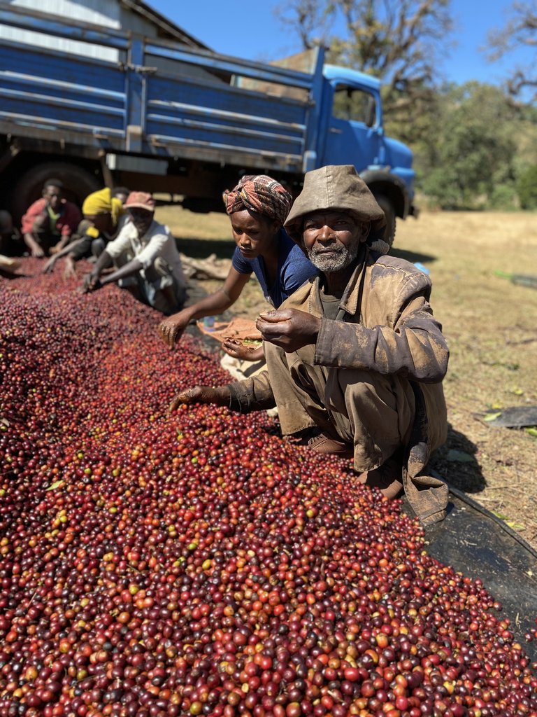 Yirgacheffe Banko Gotiti