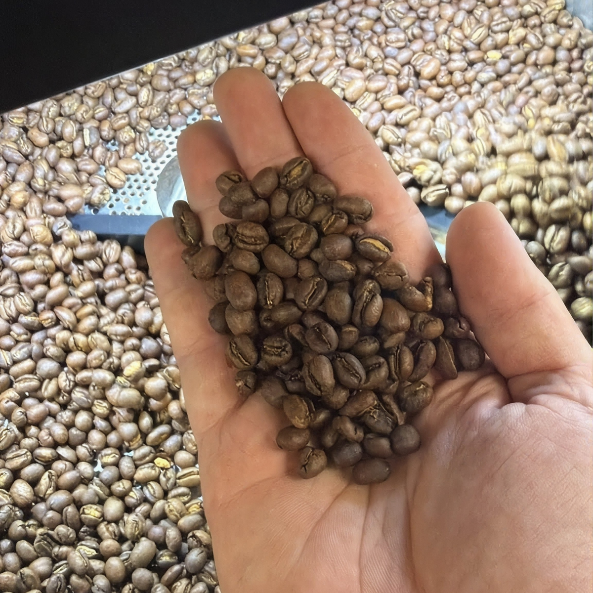 Handege Peaberry
