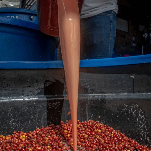 Finca El Diviso