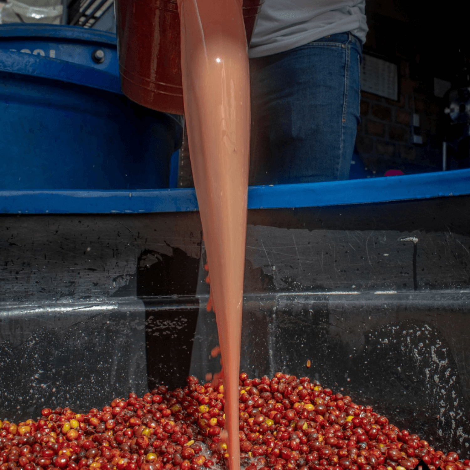 Finca El Diviso