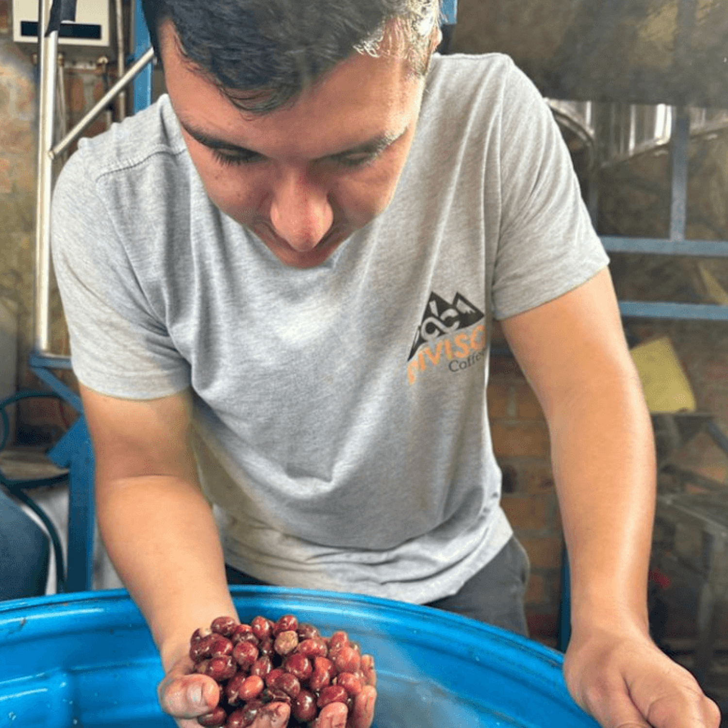 Finca El Diviso