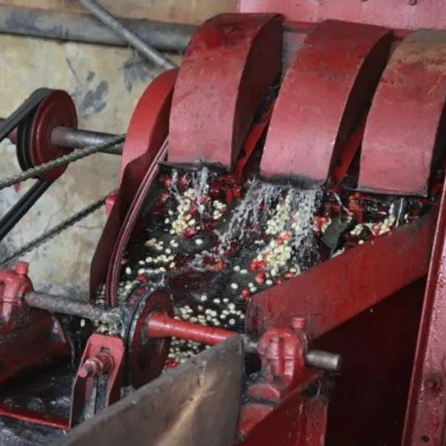 AA Kamwangi
