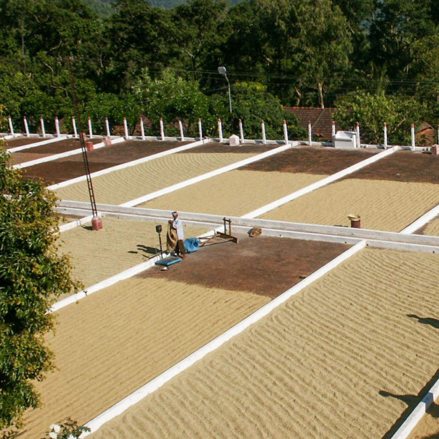 Ratnagiri Estate