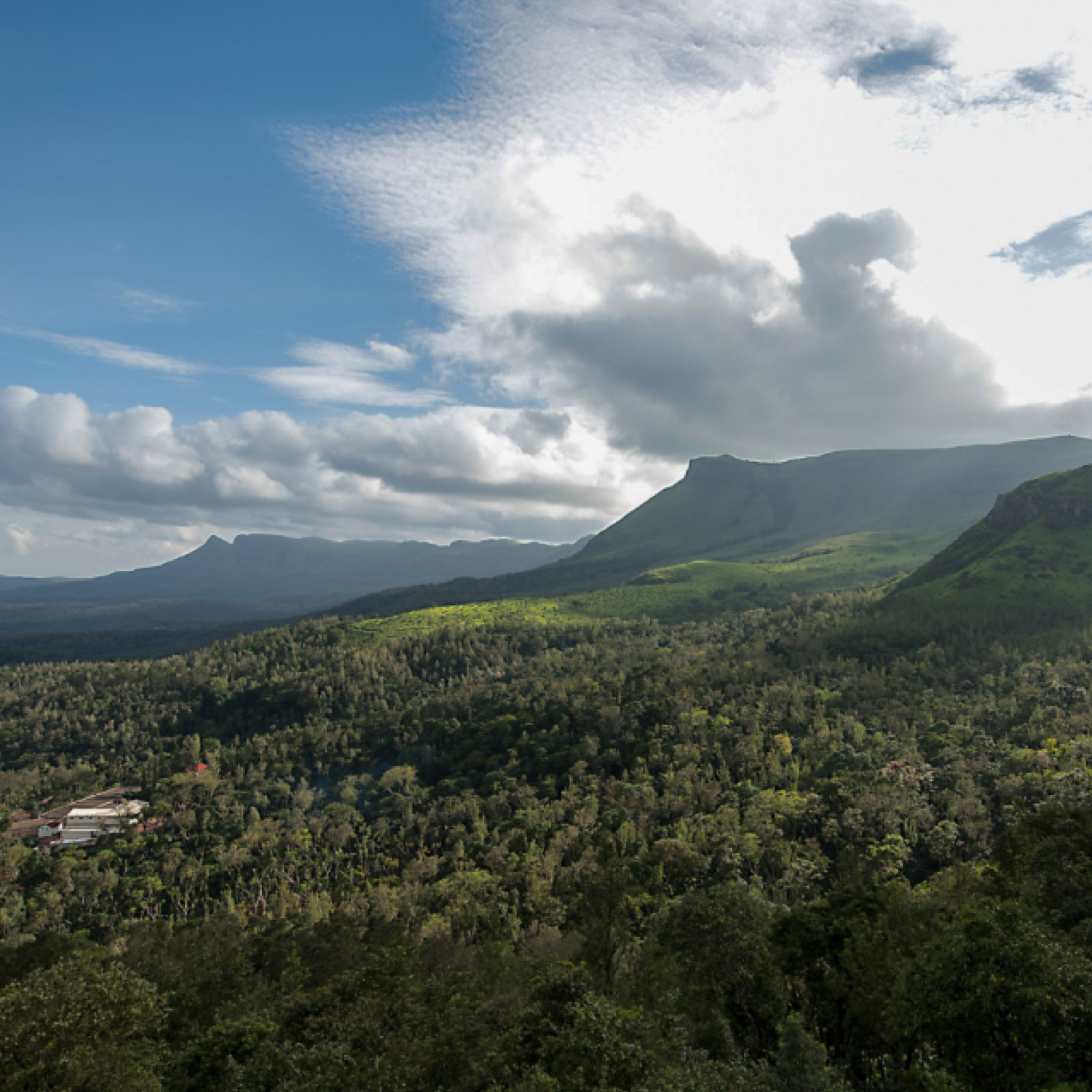 Ratnagiri Estate