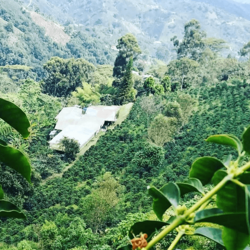 Finca El Diviso