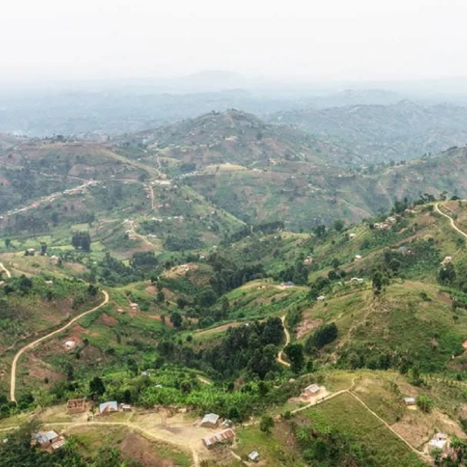 Gombe