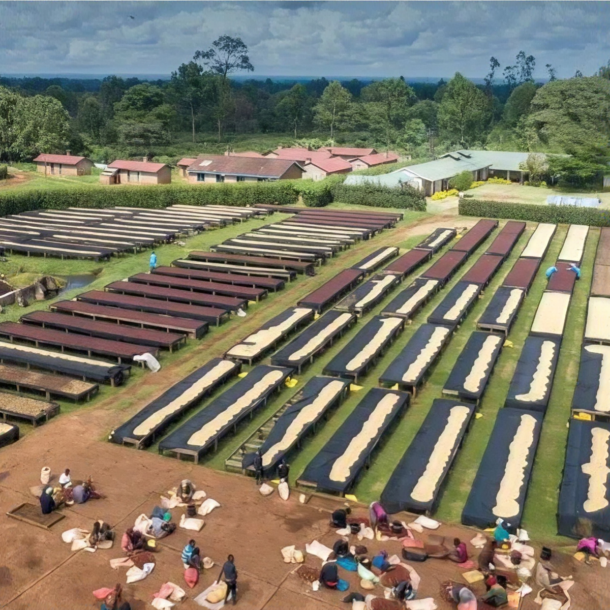 Kamundu Estate