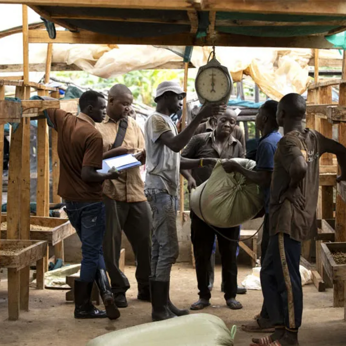 Sipi Tangwen Fermentation