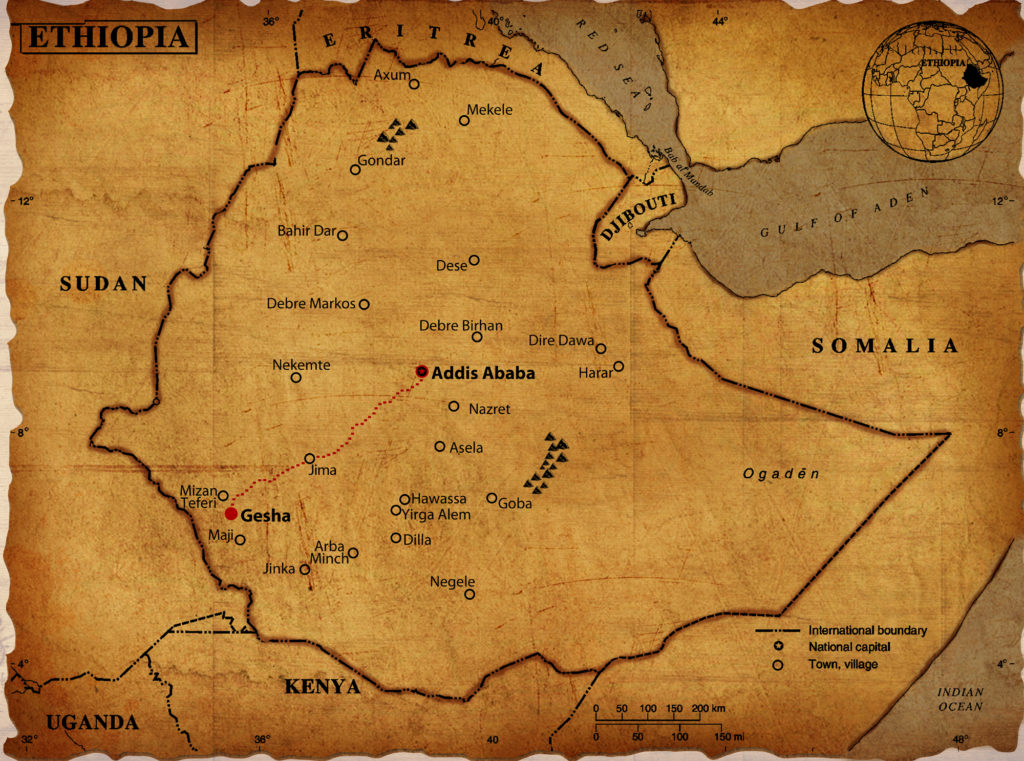 Ethiopia Gesha: Map of the farm