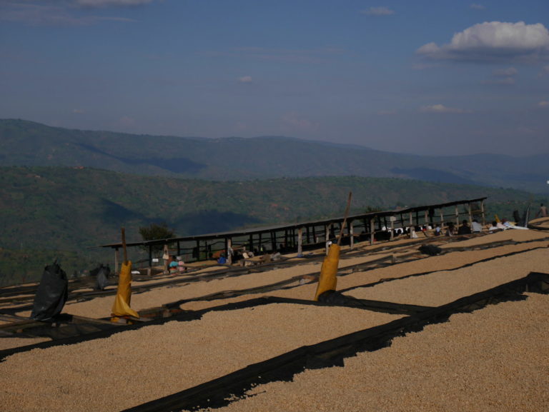 Rwanda Musasa Ruli